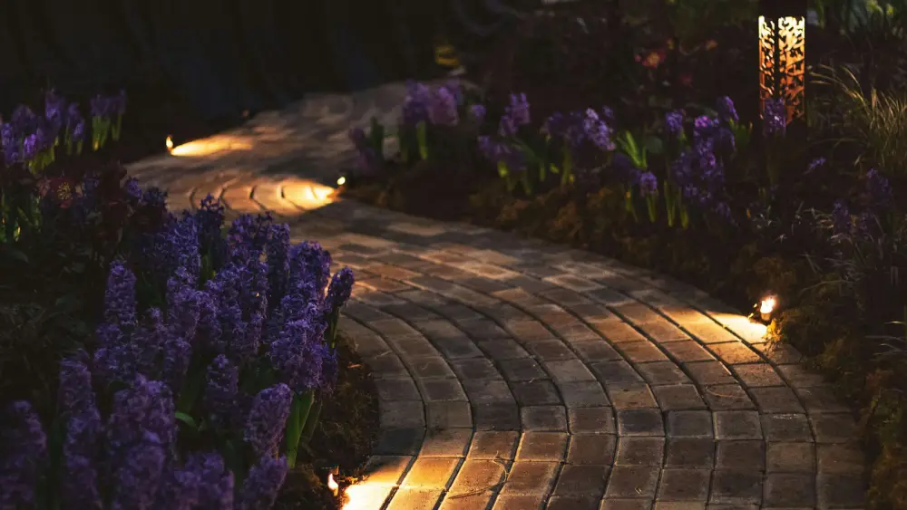 A curving brick paver walkway lit by small low-profile path lights embedded along its edges, flanked by purple hyacinth flower beds, with a taller decorative cut-metal lantern-style fixture marking the path.