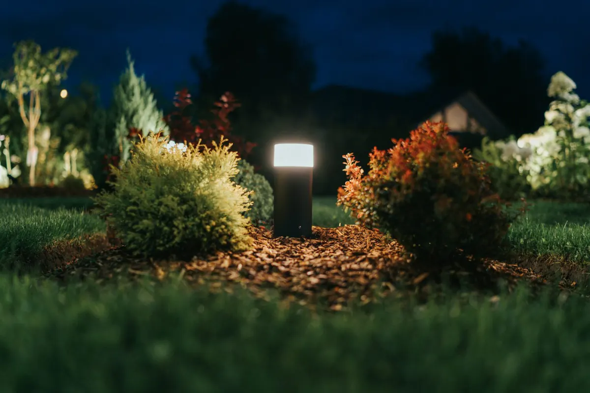 A dark bollard-style path light with a glowing frosted top panel, installed in a mulched garden bed between conifer shrubs and red-leafed shrubs, lighting the surrounding landscaping at dusk.
