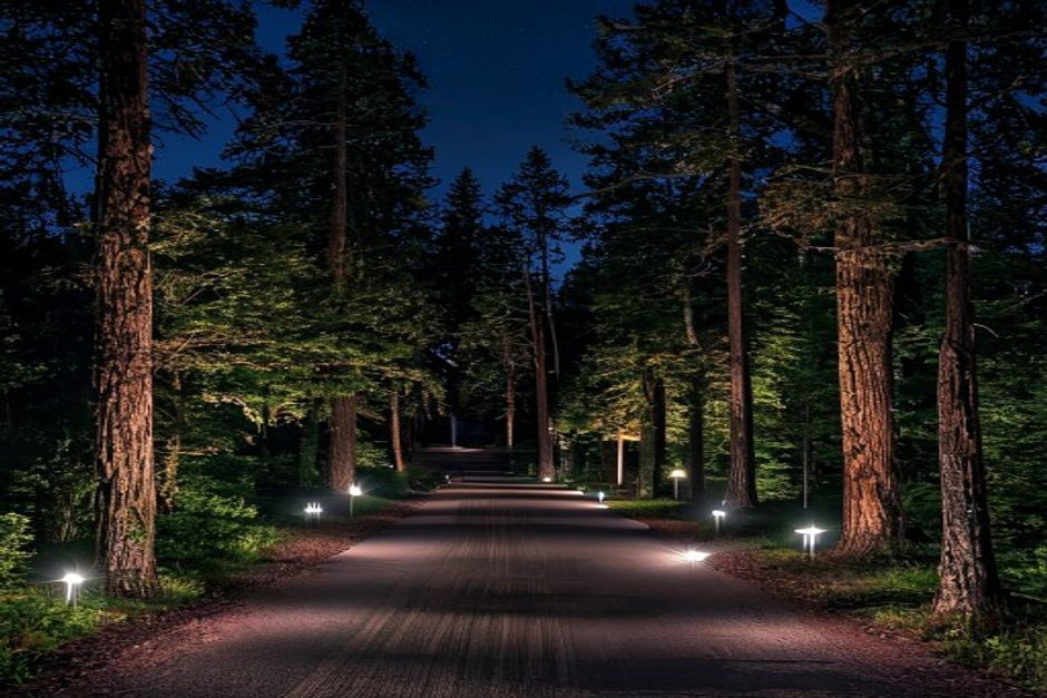 Landscape lighting in Redmond, WA